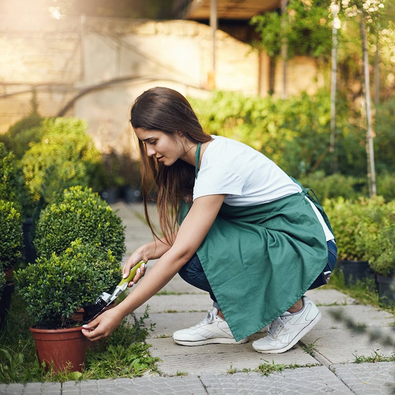 Gartenplanung nach Jahreszeiten: Henry Neuhausers Kalender für Hobbygärtner