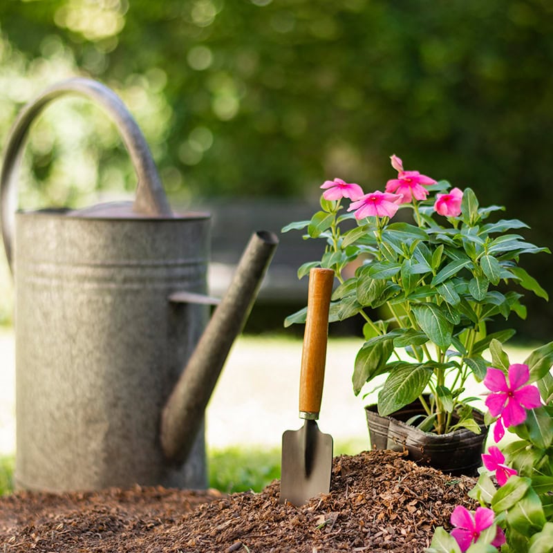 Gartenplanung nach Jahreszeiten: Henry Neuhausers Kalender für Hobbygärtner