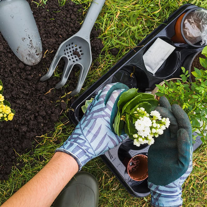 Gartenplanung nach Jahreszeiten: Henry Neuhausers Kalender für Hobbygärtner