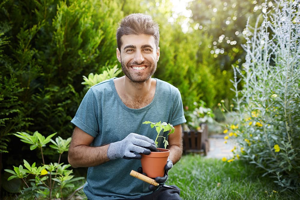 Heimische Pflanzenarten im Fokus: Henry Neuhausers Tipps für einen regionalen Garten
